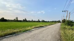 ขายที่ดิน ใกล้ถนนปทุมธานี บางเลน อำเภอไทรน้อย 5 ไร่ 1 งาน 32 ตรว-202411052109051730815745560.jpg