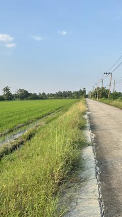 ขายที่ดิน ใกล้ถนนปทุมธานี บางเลน อำเภอไทรน้อย 5 ไร่ 1 งาน 32 ตรว-202411052109071730815747009.jpg