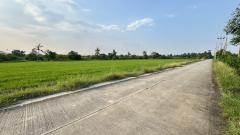 ขายที่ดิน ใกล้ถนนปทุมธานี บางเลน อำเภอไทรน้อย 5 ไร่ 1 งาน 32 ตรว-202411052109071730815747736.jpg
