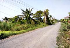 ขายที่ดิน ซอยแบนชะโด ถนนประชาร่วมใจ เนื้อที่ 200 ตร.ว. แปลงสี่เหลี่ยมสวย-202411061005311730862331536.jpg