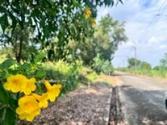 ขายที่ดินซอยสุวินทวงศ์47 เพียง2,500/ตร.วา ซอยธรรมรัตน์ (N.1434)-202411061339001730875140353.jpg