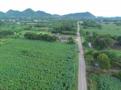 ขาย ที่ดิน เขาใหญ่ ต.​หมูสี​ อ.ปากช่อง 2 ไร่ ทำเลดีที่สุดในย่านนี้​-202411062341591730911319684.jpg