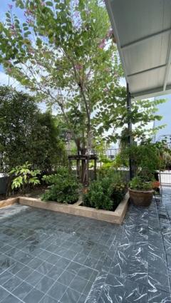 NTG630 ให้เช่า ทาวน์โฮม อินดี้ 2 บางนา-รามคําแหง2 หลังมุม เฟอร์ครบพร้อมอยู่ เลี้ยงสัตว์ได้ ใกล้ เมกะ บางนา-202411070019311730913571447.jpg