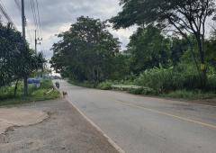 ขาย ที่ดิน เขาใหญ่ ต.​หมูสี​ อ.ปากช่อง 3 ไร่ 2 งาน 44 ตรว ​ทำเลดีที่สุดในย่านนี้​-202411070040471730914847415.jpg