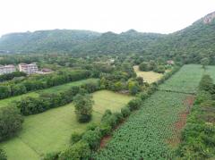 ขาย ที่ดิน โครงการคาซ่า เขาใหญ่ ติดถนนธนะรัชต์ ต.​หมูสี​  424 ตรว วิวเขา สวยมาก-202411080857071731031027926.jpg