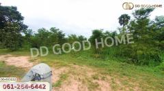ที่ดินวังหิน 7 ไร่ 389 ตร.ว. ศรีสะเกษ ใกล้วัดป่าดู่ วังหิน-202411121443321731397412013.jpg