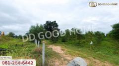 ที่ดินวังหิน 7 ไร่ 389 ตร.ว. ศรีสะเกษ ใกล้วัดป่าดู่ วังหิน-202411121443321731397412759.jpg