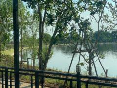 ลดราคาถูกมาก ขายที่ดิน 25-1-3.2 ไร่ พร้อมกิจการบ่อตกปลา สนามฟุตบอล ร้านกาแฟ สนุ๊กเกอร์ ลำลูกกาคลอง 11 อ.ลำลูกกา ปทุมธานี-202411151150391731646239149.jpg