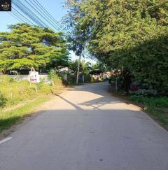ขายที่ดินเนื้อที่ 1-1-45 ไร่ ซ.วัดบางเตยใน อ.สามโคก จ.ปทุมธานี เหมาะสร้างบ้าน-202411152000331731675633889.jpg