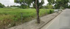 ขายที่ดิน 5-3-0 ไร่ติดถนนบรมราชชนนีหน้ากว้างติดถนน 70 เมตร  แปลงสวย ใกล้ตลาดธนบุรี  ปีหน้าเป็นผังสีเหลือง-202411161304031731737043872.jpg