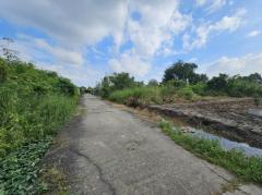 ขายที่ดิน ถมแล้ว สี่เหลี่ยมสวย ซ.เฉลิมพระเกียรติ ร.9 ซ.36 100 วา-202411181203391731906219451.jpg