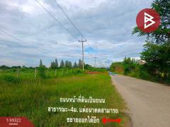 ขายที่ดินแปลงสวย เนื้อที่ 53 ไร่ 2 งาน 1 ตารางวา อ.ปากช่อง นครราชสีมา-202411261248471732600127304.jpg