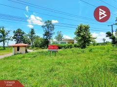 ขายที่ดิน-2-แปลงติดกัน-เนื้อที่-103-ไร่-