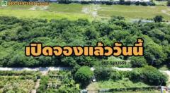 ขายบ้านใหม่ เนื้อที่ 101 ตารางวา ต.ไผ่จำศิล อ.วิเศษชัยชาญ จ.อ่างทอง-202411261759381732618778322.jpg