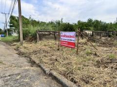 ขายที่ดินเมืองเอกรังสิต(โครงการ3) 136 ตร.วา (เพียง 23,000/วา)-202411271144341732682674412.jpg