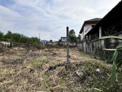 ขายที่ดินเมืองเอกรังสิต(โครงการ3) 136 ตร.วา (เพียง 23,000/วา)-202411271144421732682682435.jpg