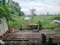ที่ดินปาย 300 ตร.ว. แม่ฮ่องสอน ใกล้สนามบิน อ.ปาย-202411271459051732694345705.jpg