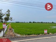 ขายที่ดิน-เนื้อที่-16-ไร่-3-งาน-79-ตร.วา-บ