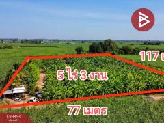 ขายที่ดินเปล่าด่วน-เนื้อที่-5-ไร่-3-งา