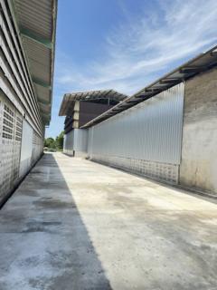 ขายโรงงานพร้อมที่ดินเข้าออกได้หลายทางอยู่ถนนปู่เจ้าซอยวัดสวนส้ม ตำบลบางโปรงอำเภอเมืองสมุทรปราการ-202411291439391732865979163.jpg