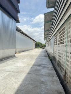 ขายโรงงานพร้อมที่ดินเข้าออกได้หลายทางอยู่ถนนปู่เจ้าซอยวัดสวนส้ม ตำบลบางโปรงอำเภอเมืองสมุทรปราการ-202411291439451732865985215.jpg