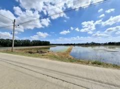 ขาย ที่ดิน ซ.สันติภาพ เมืองปทุมธานี 12 ไร่ 64 ตร.วา ใกล้ workpoint และBTSรังสิต คลองหนึ่ง ทำเลเหมาะทำจัดสรร-202411301614221732958062426.jpg