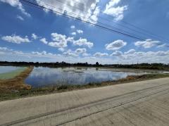 ขาย ที่ดิน ซ.สันติภาพ เมืองปทุมธานี 12 ไร่ 64 ตร.วา ใกล้ workpoint และBTSรังสิต คลองหนึ่ง ทำเลเหมาะทำจัดสรร-202411301614241732958064048.jpg