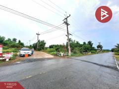 ขายที่ดินเปล่าติดถนน 1 งาน 5 ตร.วา องครักษ์ นครนายก-202412011143051733028185910.jpg