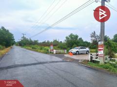 ขายที่ดินเปล่าติดถนน 1 งาน 5 ตร.วา องครักษ์ นครนายก-202412011143061733028186624.jpg