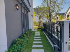 ให้เช่า บ้านเดี่ยว เซนโทร บางนา บ้านใหม่ไม่เคยเข้าอยู่ Pet friendly-202412031503131733212993606.jpg