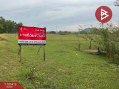 ขายที่ดิน-เนื้อที่-1-งาน-ดอนทอง-พิษณุ