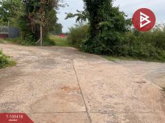 ขายที่ดิน เนื้อที่ 1 งาน ดอนทอง พิษณุโลก-202412041457121733299032749.jpg
