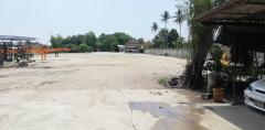ขายที่ดินชลบุรีศรีราชา พร้อมห้องเช่า ใกล้เซเว่นพียง 700 เมตร-202412061345101733467510108.jpg