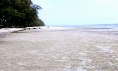 ขาย ที่ดิน ติดทะเล 56 ไร่ 2 งาน 41 ตร.วา ชายหาดสวย อ.คลองใหญ่ จ.ตราด-202412070910051733537405237.jpg