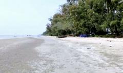 ขาย ที่ดิน ติดทะเล 56 ไร่ 2 งาน 41 ตร.วา ชายหาดสวย อ.คลองใหญ่ จ.ตราด-202412070910051733537405946.jpg