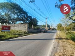  ขายที่ดินเปล่าติดถนน เนื้อที่ 4 ไร่ 50 ตร.วา บางปะอิน พระนครศรีอยุธยา-202412071425051733556305719.jpg