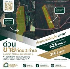 ขายด่วน-ที่ดินเปล่า-2-แปลง-ทำเลทอง-อำ