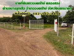 ขายที่ดินแถวองครักษ์ คลองสอง ตำบลบางลูกเสือ อำเภอองครักษ์ จังหวัดนครนายก 