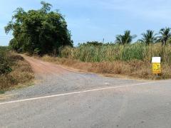 ขายที่ดินแถวองครักษ์ คลองสอง ตำบลบางลูกเสือ อำเภอองครักษ์ จังหวัดนครนายก -202412091127031733718423312.jpg