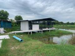 ขายที่ดินแถวองครักษ์ คลองสอง ตำบลบางลูกเสือ อำเภอองครักษ์ จังหวัดนครนายก -202412091127051733718425883.jpg