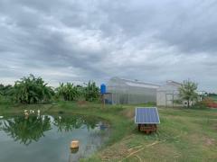 ขายที่ดินแถวองครักษ์ คลองสอง ตำบลบางลูกเสือ อำเภอองครักษ์ จังหวัดนครนายก -202412091127071733718427612.jpg