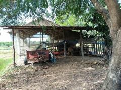 ขายที่ดินแถวองครักษ์ คลองสอง ตำบลบางลูกเสือ อำเภอองครักษ์ จังหวัดนครนายก -202412091127091733718429327.jpg