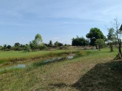 ขายที่ดินแถวองครักษ์ คลองสอง ตำบลบางลูกเสือ อำเภอองครักษ์ จังหวัดนครนายก -202412091127111733718431034.jpg