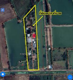 ขายที่ดินแถวองครักษ์ คลองสอง ตำบลบางลูกเสือ อำเภอองครักษ์ จังหวัดนครนายก -202412091127161733718436261.jpg