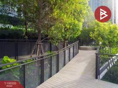 ขายคอนโดมิเนียม ไลฟ์ สาทร เซียร์รา (Life Sathorn Sierra) ธนบุรี กรุงเทพมหานคร-202412091136331733718993851.jpg
