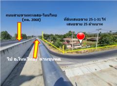 ขาย ที่ดิน ติดถนนสายขามทะเลสอ-โนนไทย  ทล.2068  เชื่อมออกทางหลวงพิเศษ M6 ได้ เนื้อที่ 25 ไร่ 1 งาน 31 ตรว ราคายุติธรรม-202412091752311733741551950.jpg
