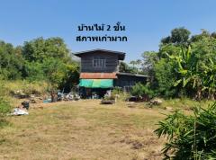 ขาย ที่ดิน ติดถนนสายขามทะเลสอ-โนนไทย  ทล.2068  เชื่อมออกทางหลวงพิเศษ M6 ได้ เนื้อที่ 25 ไร่ 1 งาน 31 ตรว ราคายุติธรรม-202412091752391733741559616.jpg