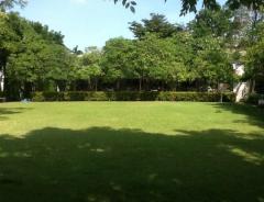 NTG793ให้เช่า บ้านเดี่ยว โนเบิล จีโอ วัชรพล เฟอร์ครบพร้อมอยู่ ใกล้ห้างใกล้ทางด่วน เข้าออกได้หลายทางทำเลดีเดินทางสะดวก-202412092029571733750997653.jpg