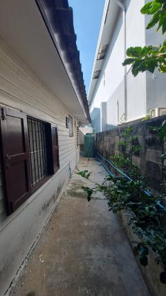 ให้เช่าบ้านเดี่ยวสไตล์บ้านสวนใจกลางอุดมสุข ซ.อุดมสุข 48เขตบางนา กทม (N.1479)-202412111431471733902307877.jpg