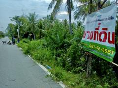 ขายที่ดินติดริมน้ำ เกือบ 5 ไร่ อำเภอเมือง จังหวัดสมุทรสงคราม-202412111503271733904207424.jpeg